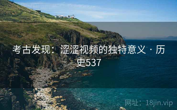 考古发现：涩涩视频的独特意义 · 历史537